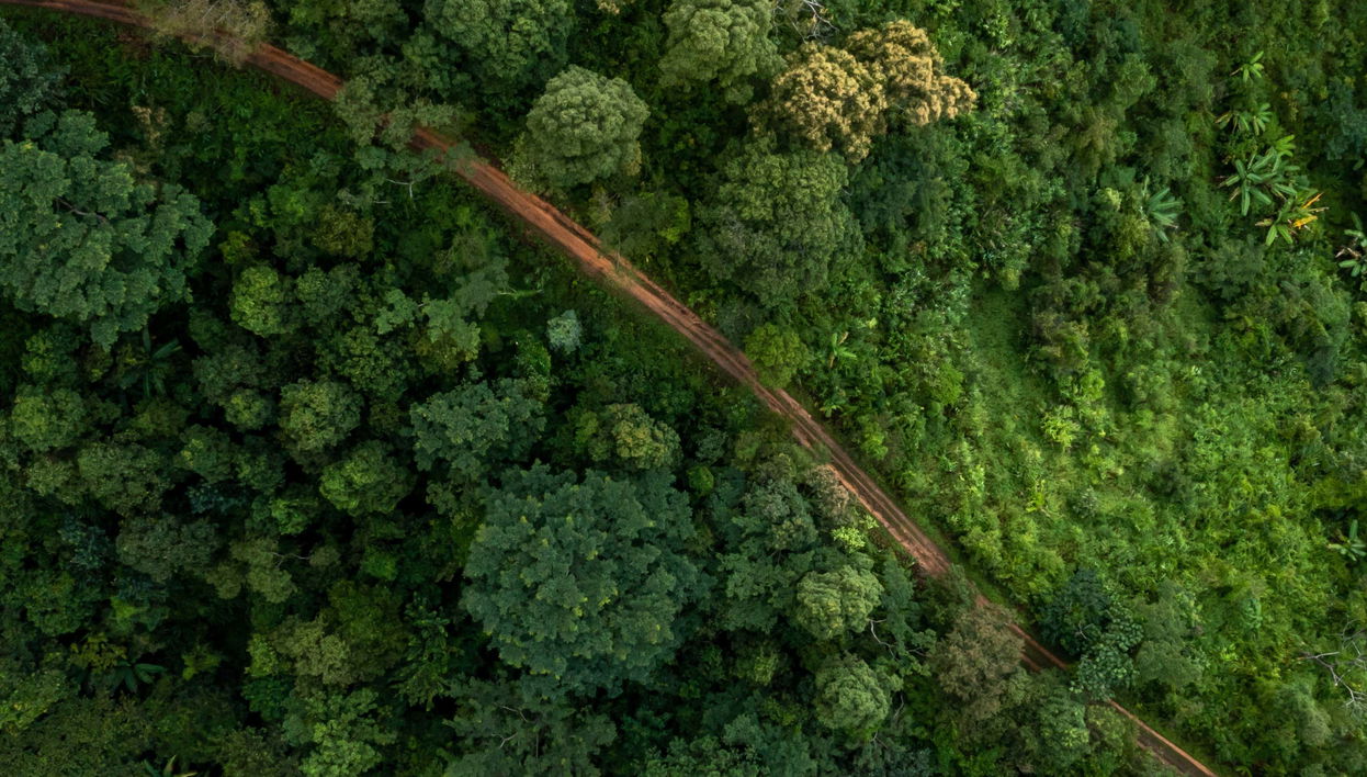 4-Day Amazon River Cruise - Foto 1