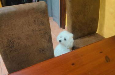 Private Room in Casa Kores - Foto 15