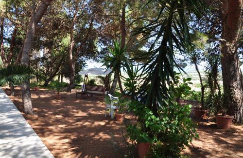 Bed & Breakfast Agriturismo San Macario - Foto 16