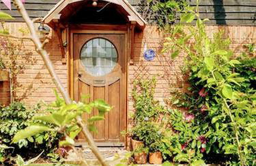 TAIL END: Bijoux Broads & Beach Base! Now with TV! - Photo 37