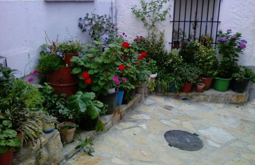 Apartamento Turístico Cervantes 18 - Foto 19