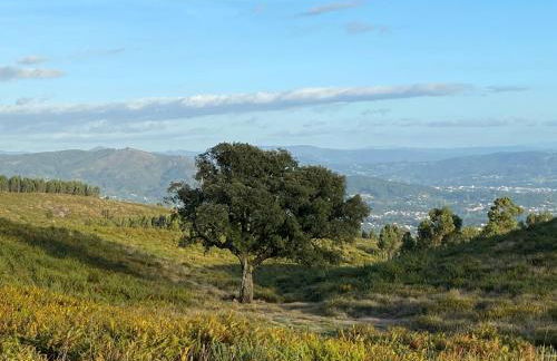 Quinta Abelha - Foto 4
