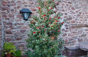 Turisme Rural Lo Pallé de Cal Bosch - Foto 45