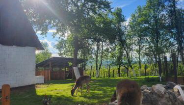 Apartment Dado - Photo 3