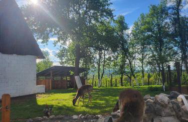 Apartment Dado - Foto 3