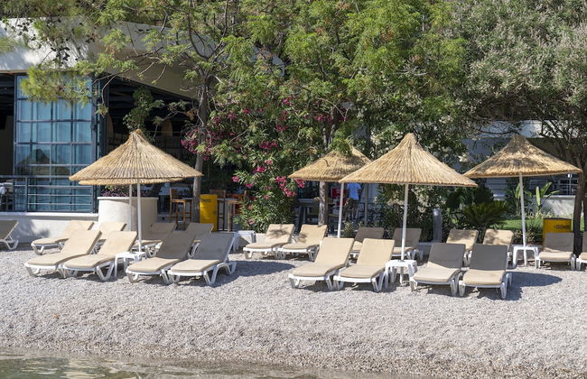 Alesta Residence - Foto 29