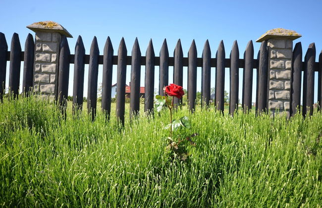 Cozy Studio 3 at the Seaside Agrotourism - Photo 17
