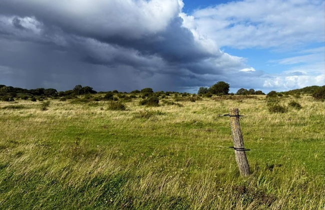 Seaside Haven With Views - By Traum Ferienwohnungen - Foto 10