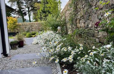 New build eco house in walled garden, Rostrevor - Photo 4