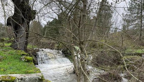 Casa dos Moinhos de Aveia - Foto 5