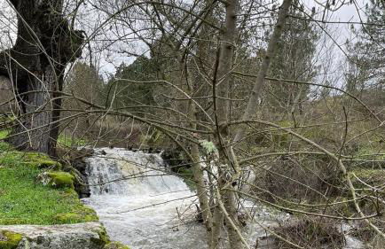 Casa dos Moinhos de Aveia - Foto 5