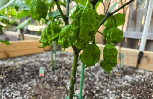 Peaceful Apartment - Foto 45