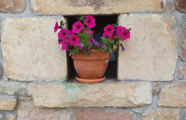 Casa Candidita - Foto 46