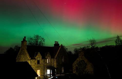 Old School - Foto 21