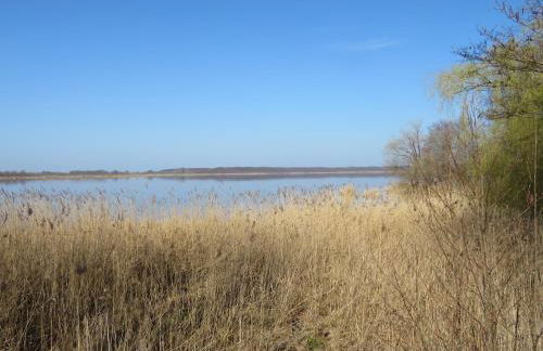 Ferienhaus Schillo - Photo 13