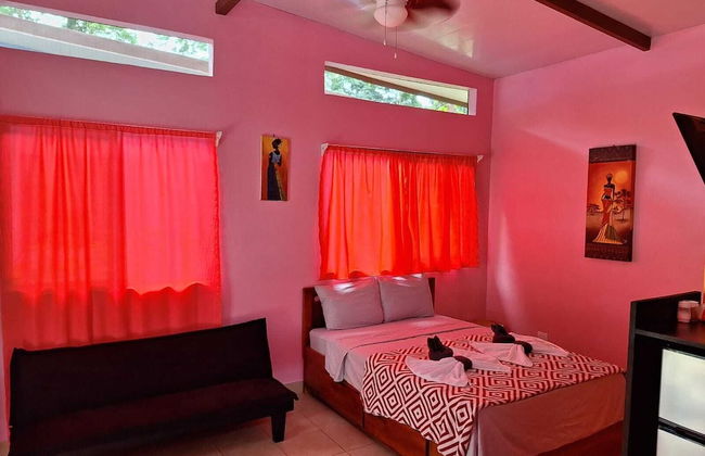 Caribbean Blue Morpho - Foto 12