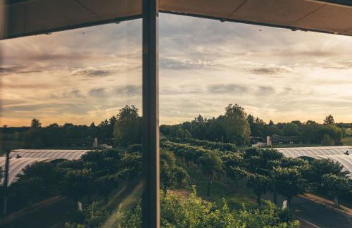 Terres de France - Appart'Hotel La Roche-Posay - Foto 15