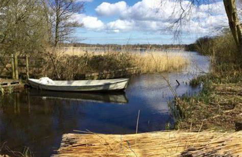 Quince Cottage - Foto 10