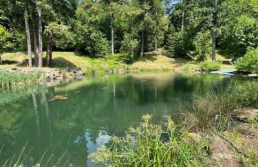 The Hideout - Stargazing Glamping Swim Oasis - Foto 44