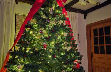 Αρχοντικό Παπανικολάου - Foto 47