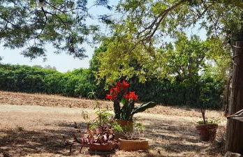 Masseria Ai Pioppi - Foto 56