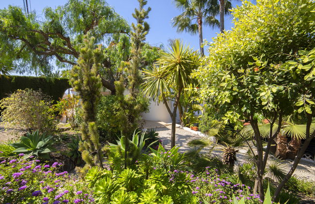 Septimo Cielo - Foto 38