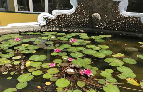 Quinta dos Canais - Photo 10