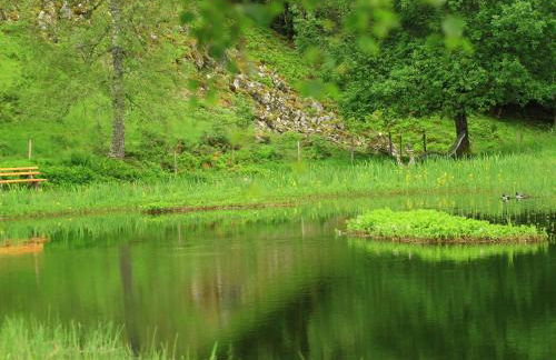Fidelis-Bühl Muggenbrunn - Foto 9