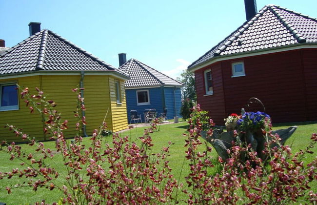 Yellow - Peter's Modern Retreat - Photo 15