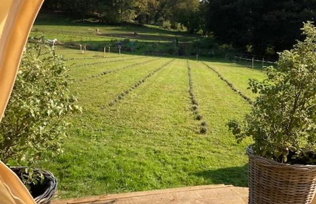 Flower Farm Glamping Retreat in Suffolk - Foto 21