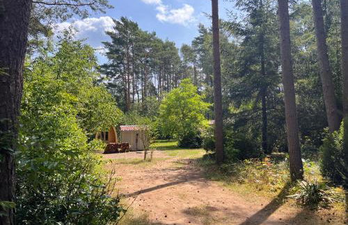 Ferienhaus im Wald - Foto 28