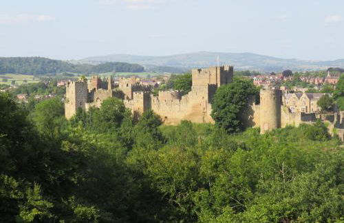 Llanhedric House - Foto 37