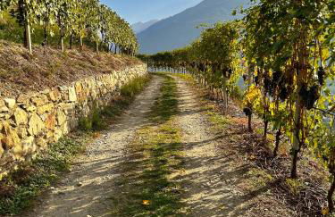 Valtellinda - Foto 48