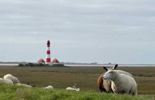 Holiday home with 2 bedrooms - Foto 17