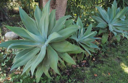 Villa tout confort avec piscine privée - Foto 26