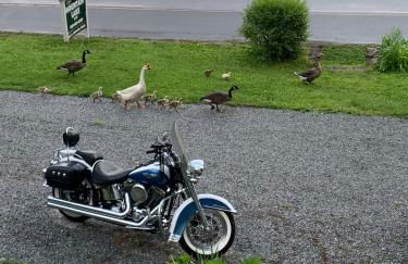 Mountain Lake Cottages - Foto 18