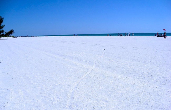 Anna Maria Island Beach Palms 8B - Foto 53