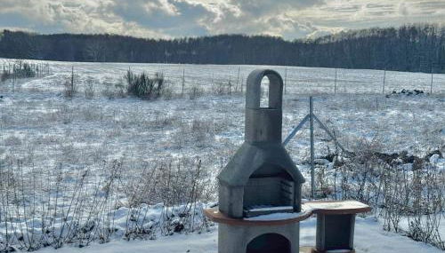 Schwan 308 - Photo 2