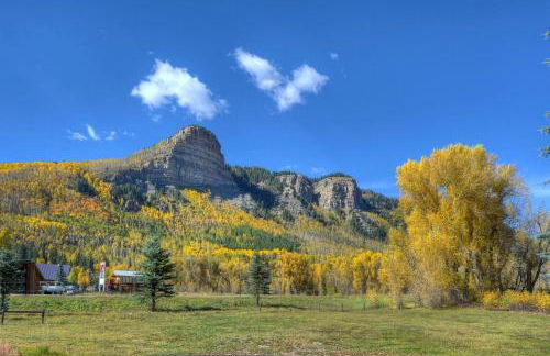 Needles N220 - Foto 33