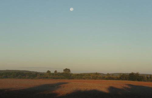 Les Gîtes De La Chérine - Foto 7