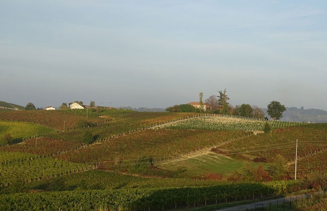 Al Tirabusòn Countryhouse - Foto 47