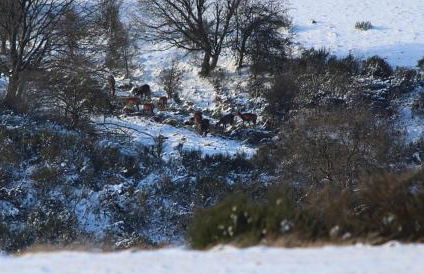 Ferienwohnung Dürbaum - Photo 37