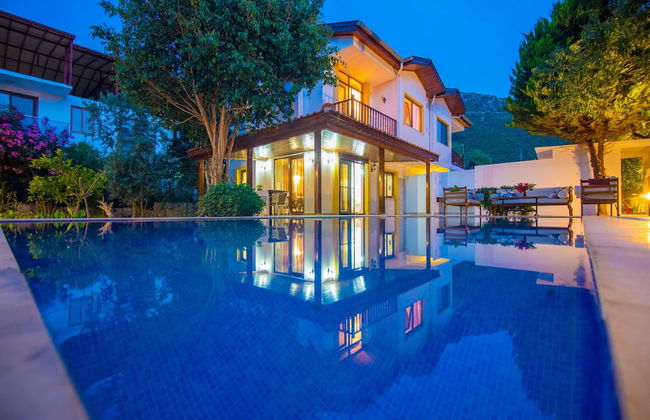 Damla Villa Soğut Village Daily Weekly Rentals - Photo 1