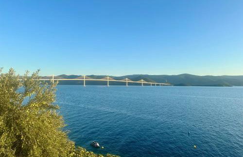 Apartment First Row - Foto 2