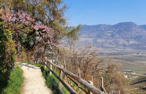 Marlingsuites - Foto 42