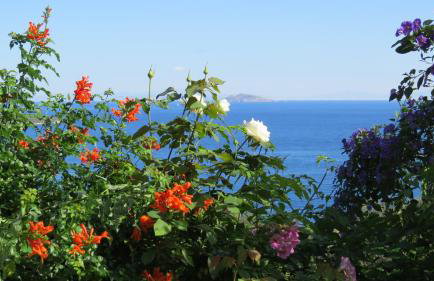 Villa Irini - Photo 28