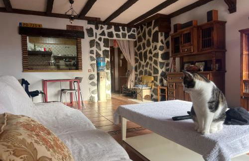 San Vicente del Raspeig Alicante - Foto 15