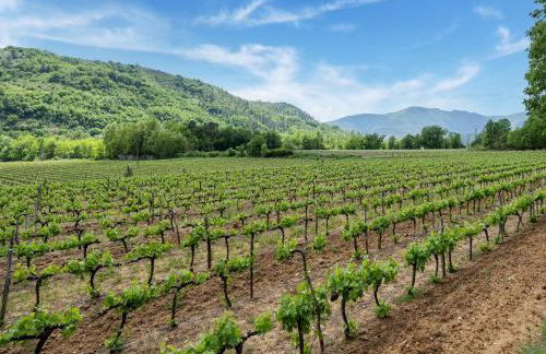 Relaxing Family Stay in Les Vans - Foto 34