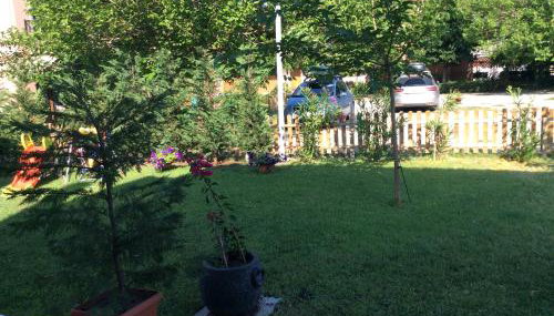 Paradise Blue - Foto 5, Garden