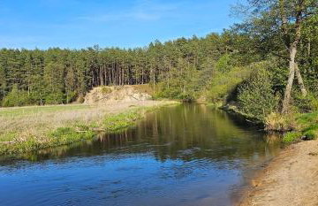 Leśna Przystań Bory Tucholskie - Foto 19